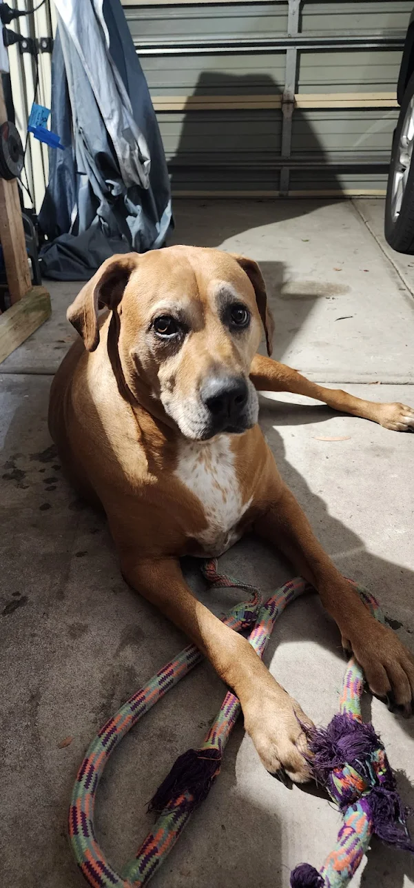 Review image 3 from Azza Fellows